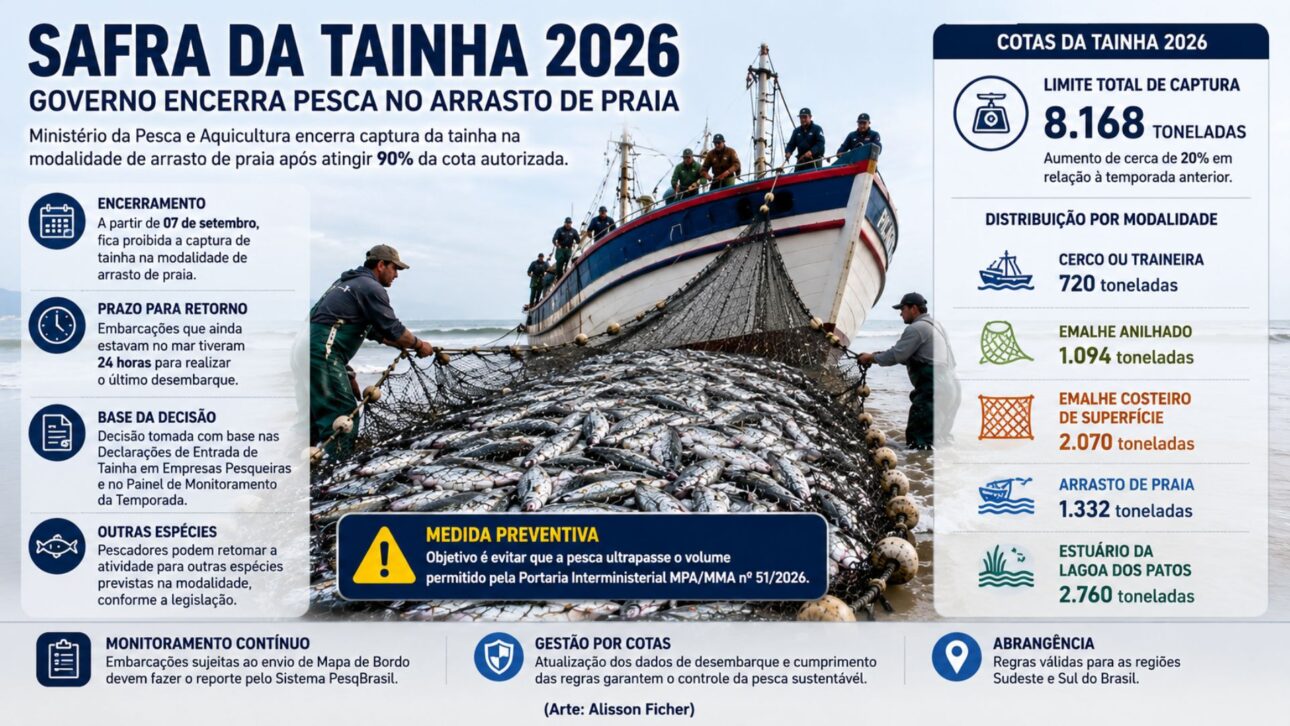 Government ends mullet fishing in beach seine after modality reaches 90% of the authorized quota for 2026.