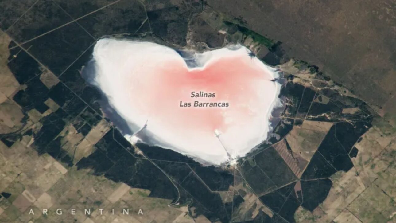 NASA registra lagoa rosa em formato de coração na Argentina, formada por salinidade extrema e vista da Estação Espacial Internacional. (Imagem: Nasa)