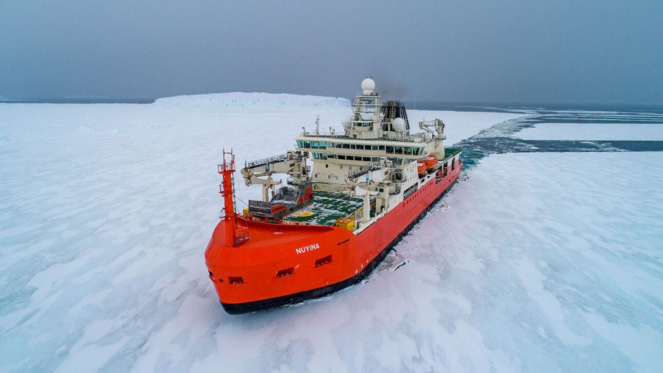 Conheça o RSV Nuyina, quebra-gelo australiano que abastece bases na Antártica e apoia pesquisas no Oceano Antártico.
