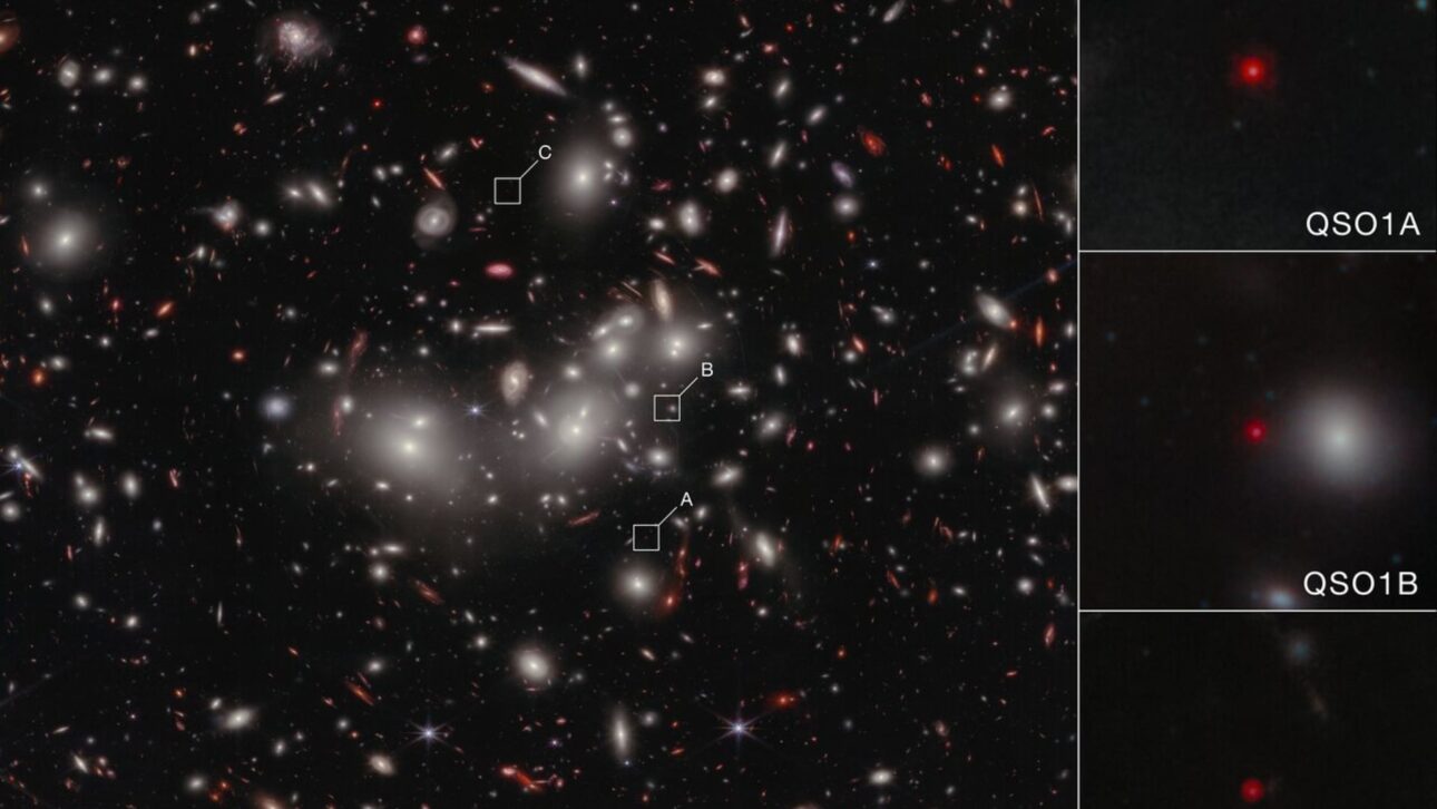 Abell S1063 aparece em imagem do James Webb com arcos de lente gravitacional usados para estudar objetos do universo distante. (Imagem: NASA, ESA, CSA, V. Kokorev/UT Austin; A. Pagan/STScI)