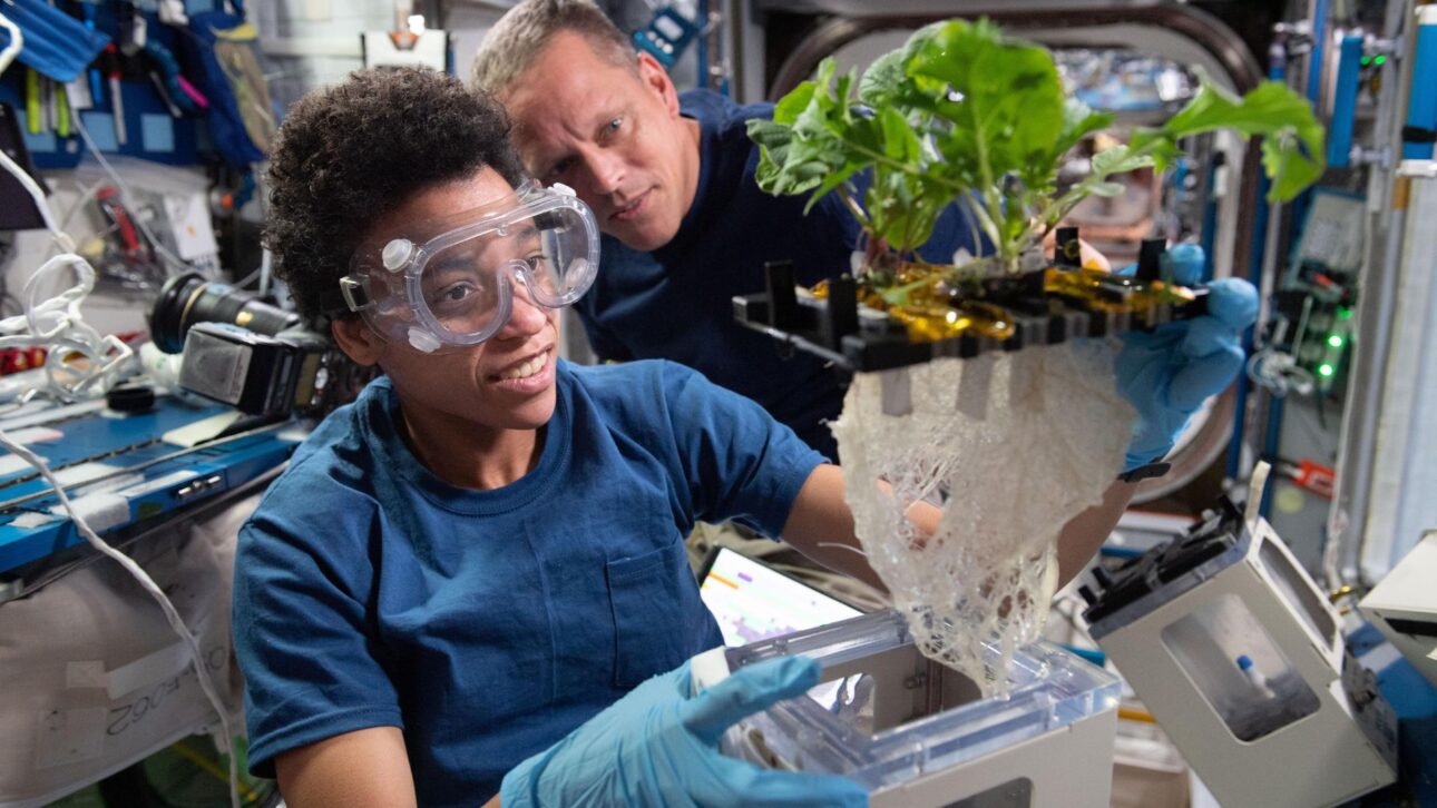 Nasa testa sistema com biorreatores para reciclar resíduos humanos, recuperar água e alimentar plantas em missões na Lua.