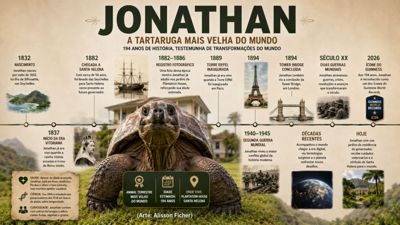 Jonathan, tartaruga de 194 anos, recebe homenagem do Guinness e reforça recorde como animal terrestre vivo mais velho do mundo.