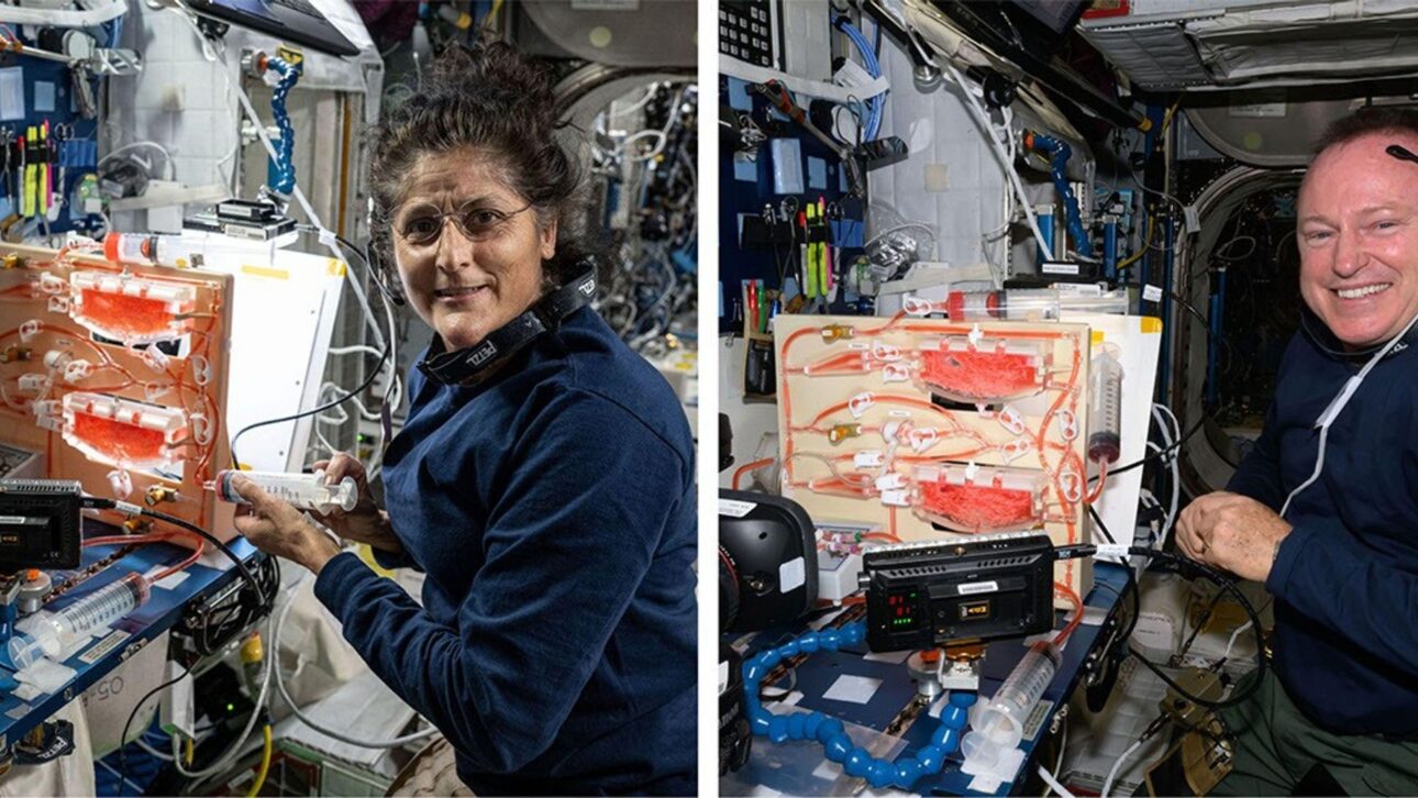 Nasa testa sistema com biorreatores para reciclar resíduos humanos, recuperar água e alimentar plantas em missões na Lua.