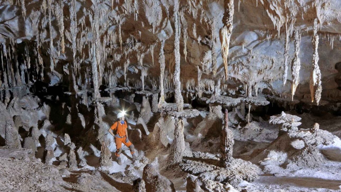 Conheça a Toca da Boa Vista, maior caverna do Brasil, com 114 km de galerias, fósseis raros e labirinto no sertão da Bahia.