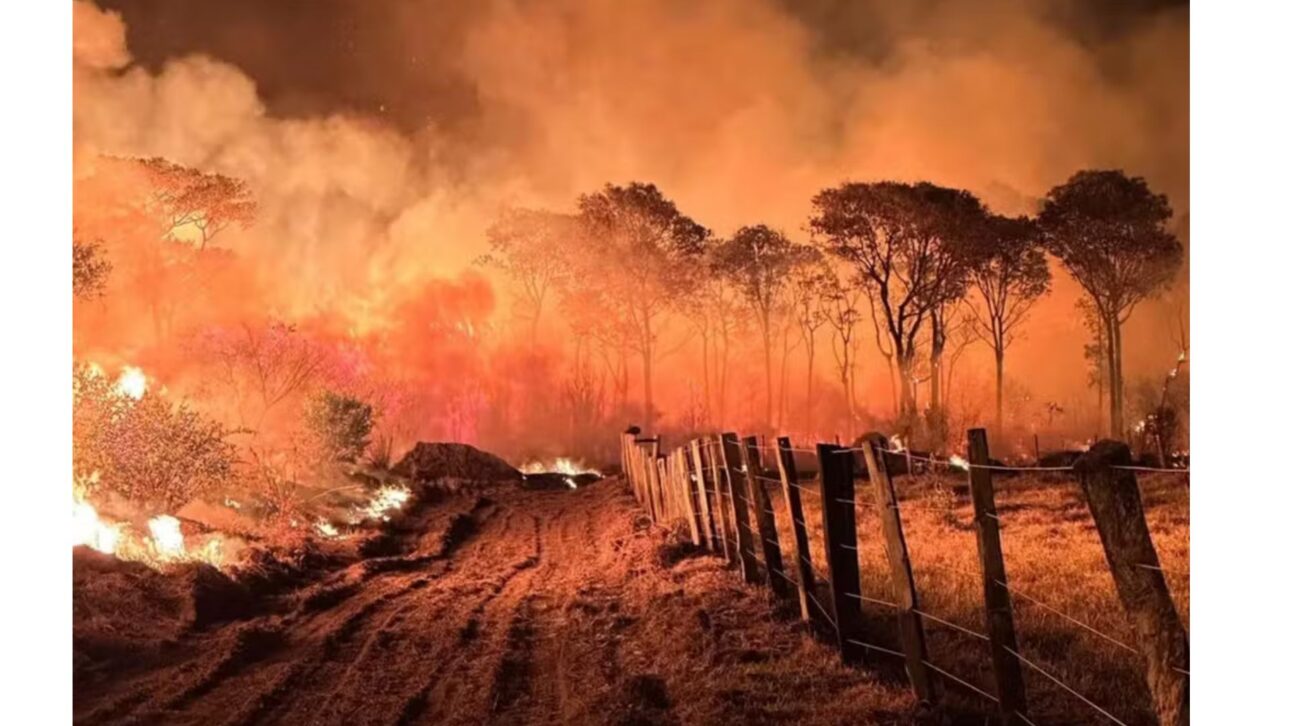 Fuego en el Pantanal de Mato Grosso do Sul en años anteriores — Foto: CPA-CBMMS / Mairinco de Pauda