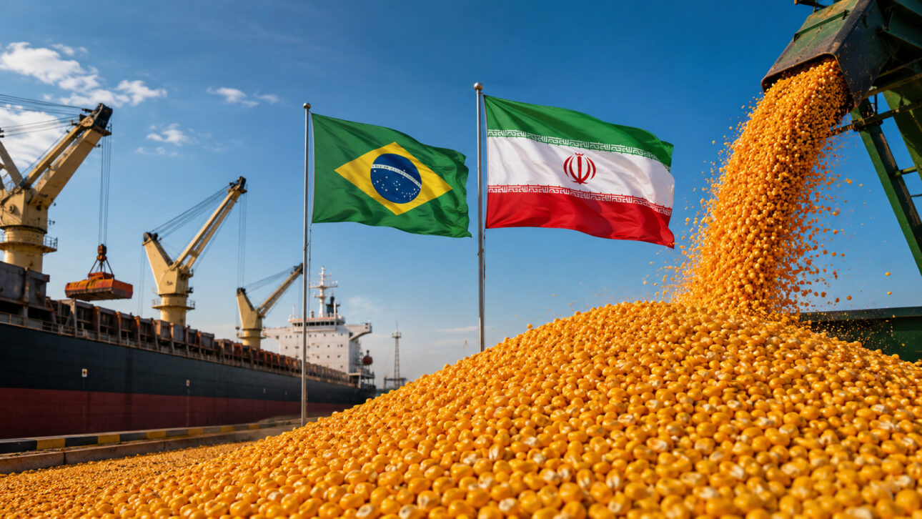 The largest buyer of Brazilian corn has also become one of the biggest risk factors for the national agriculture