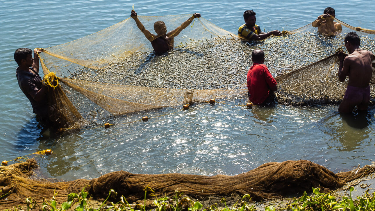 Lagoas e hortas sustentavam 20,000 famílias no retrato de novembro de 2010
