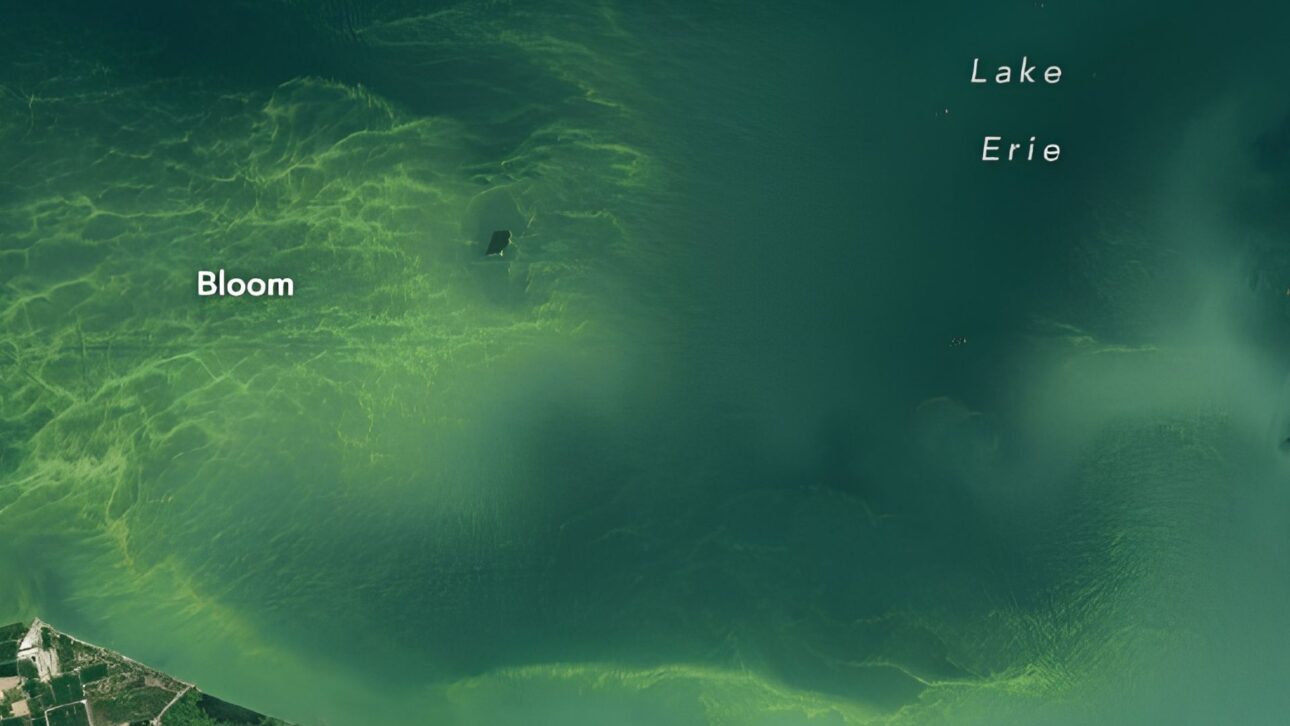 Lake Erie started turning green and NASA satellites revealed a stain that doubled in a few days: it was neither paint nor dirt, but a gigantic algae bloom advancing over one of the largest lakes in North America