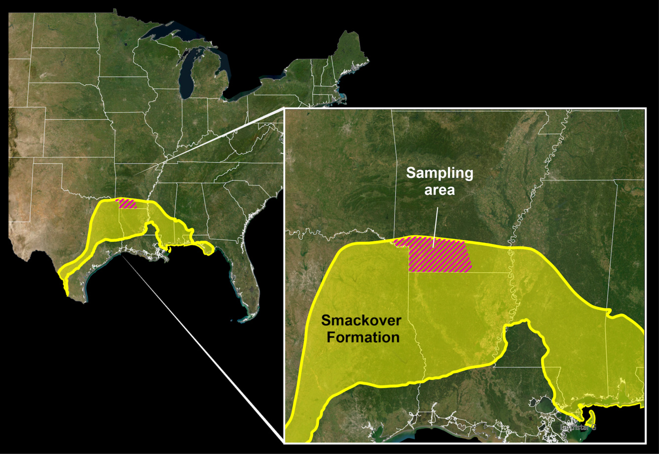 Formação Smackover, no Arkansas, pode conter até 19 milhões de toneladas de lítio, segundo o USGS, e já atrai gigantes como a Exxon para a corrida por baterias.
