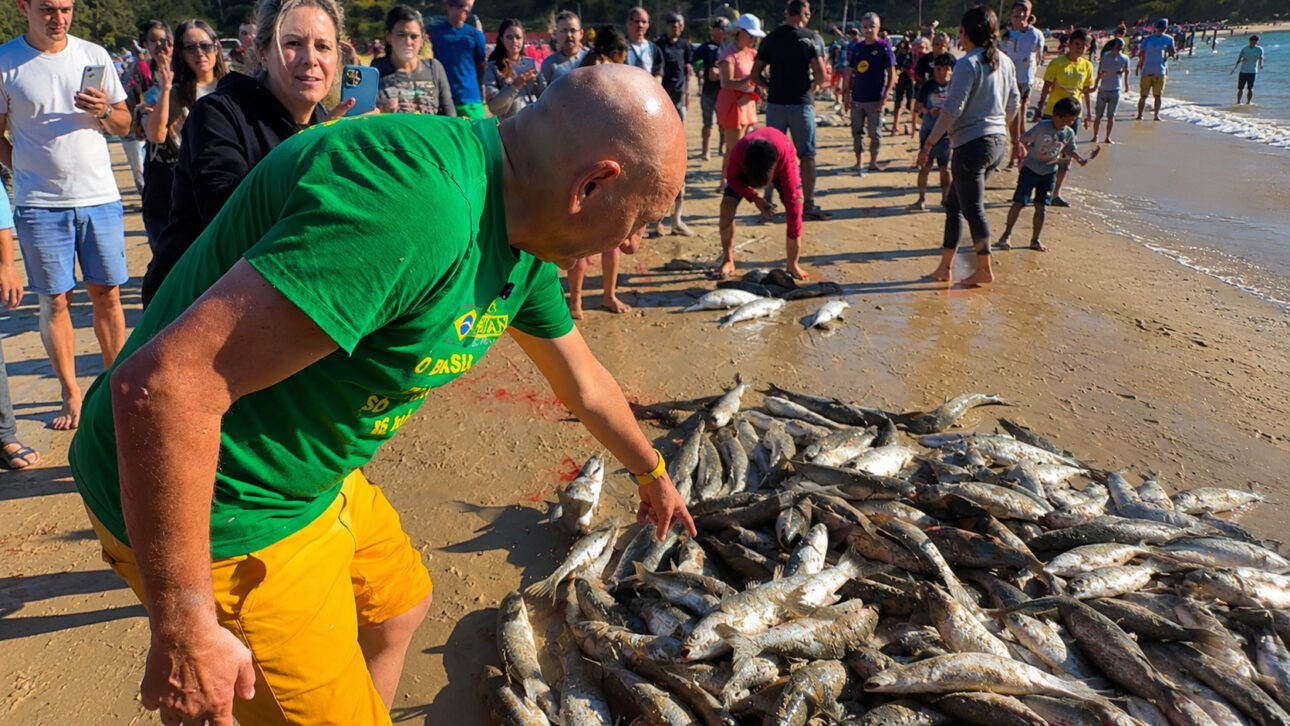 Luciano Hang observa um grande volume de tainhas recém-capturadas na areia durante atividade de pesca artesanal em uma praia de Santa Catarina, cercado por pescadores e moradores que acompanham a safra.
