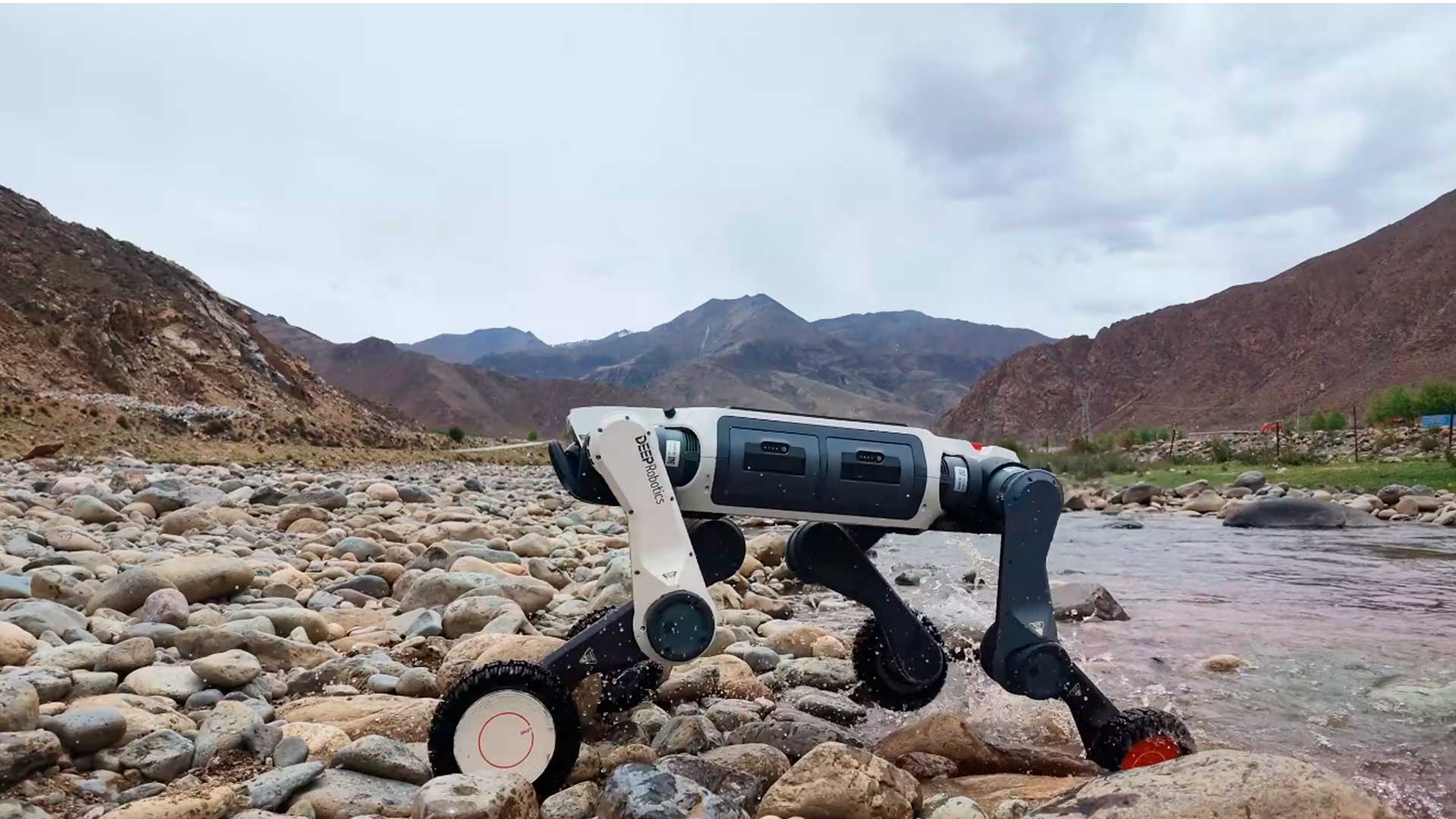 Lynx M20S combina rodas e pernas para atravessar rios, gelo e frio de -30 °C em inspeções industriais e áreas de risco