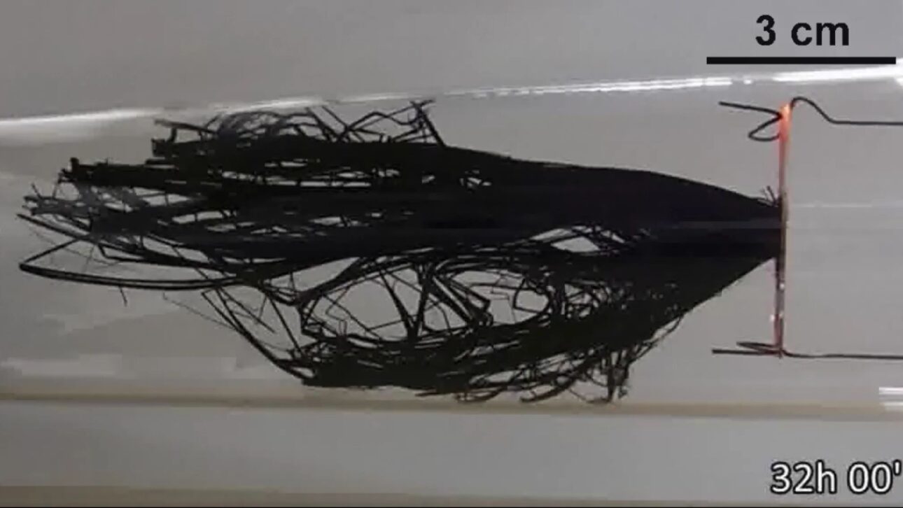 Material ultranegro do MIT feito de nanotubos de carbono absorve 99,995% da luz, supera o Vantablack e fez um diamante amarelo de US$ 2 milhões virar sombra.