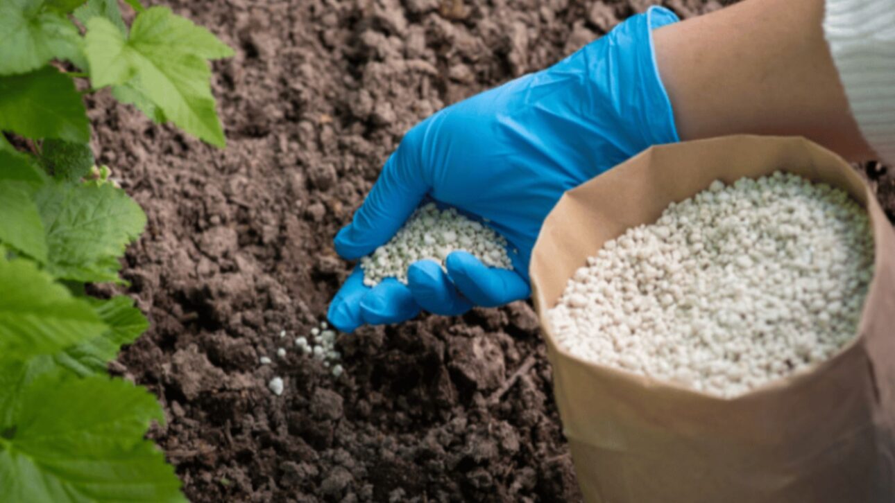 fertilizantes
