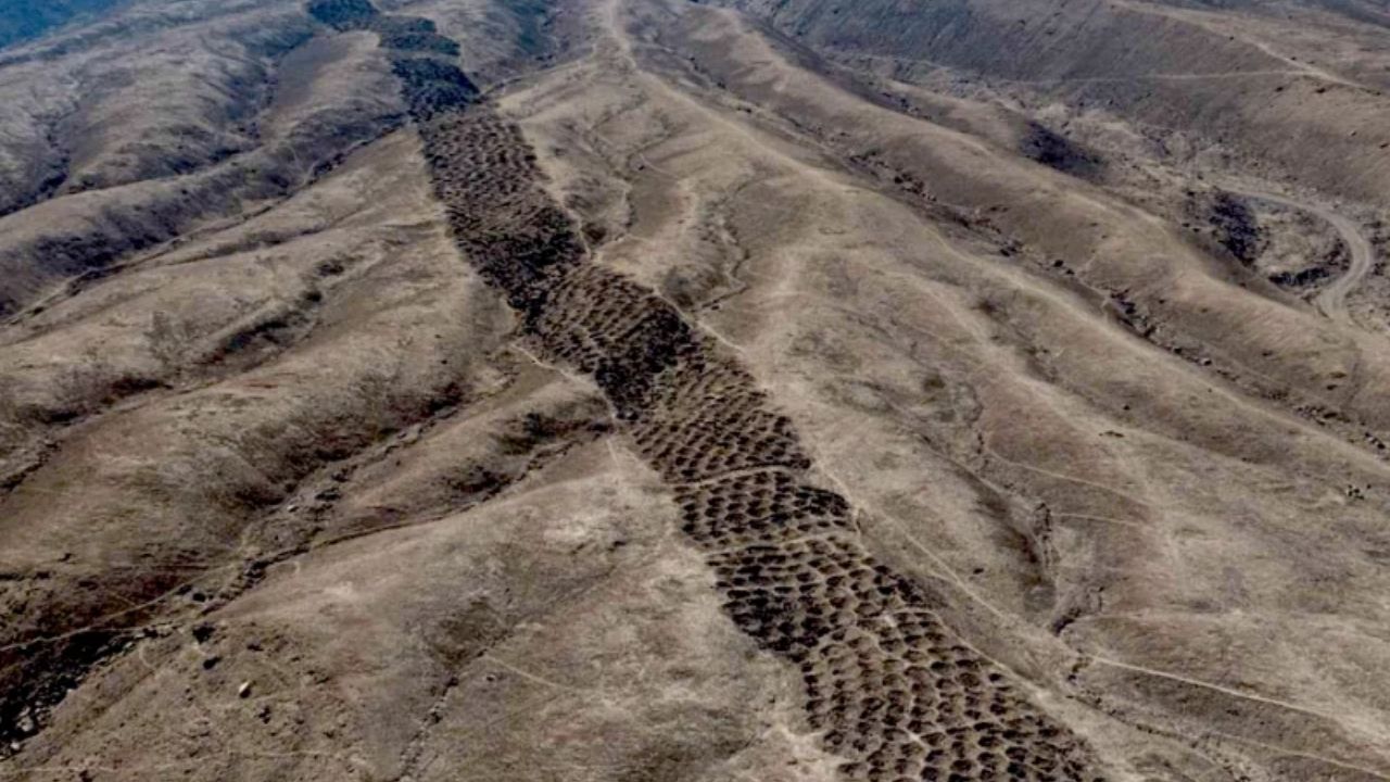Mystery of the holes in Peru at Monte Sierpe, in the Pisco Valley, gains hypothesis from the University of Sydney: indigenous market.