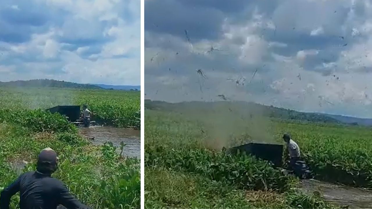 estrada improvisada no Pantanal vira rota após baceiro bloquear Baía do Castelo no Rio Paraguai e afetar acesso local.