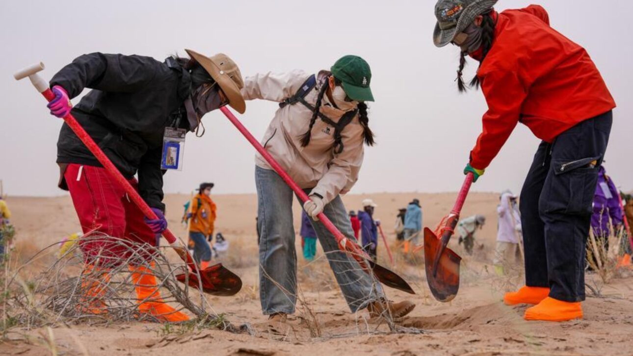 Volunteers dig a well for water storage at the Zhonglin ecological public welfare forest base in Minqin County, Gansu Province, northwest China, on April 20, 2026. (Xinhua/Lang Bingbing)