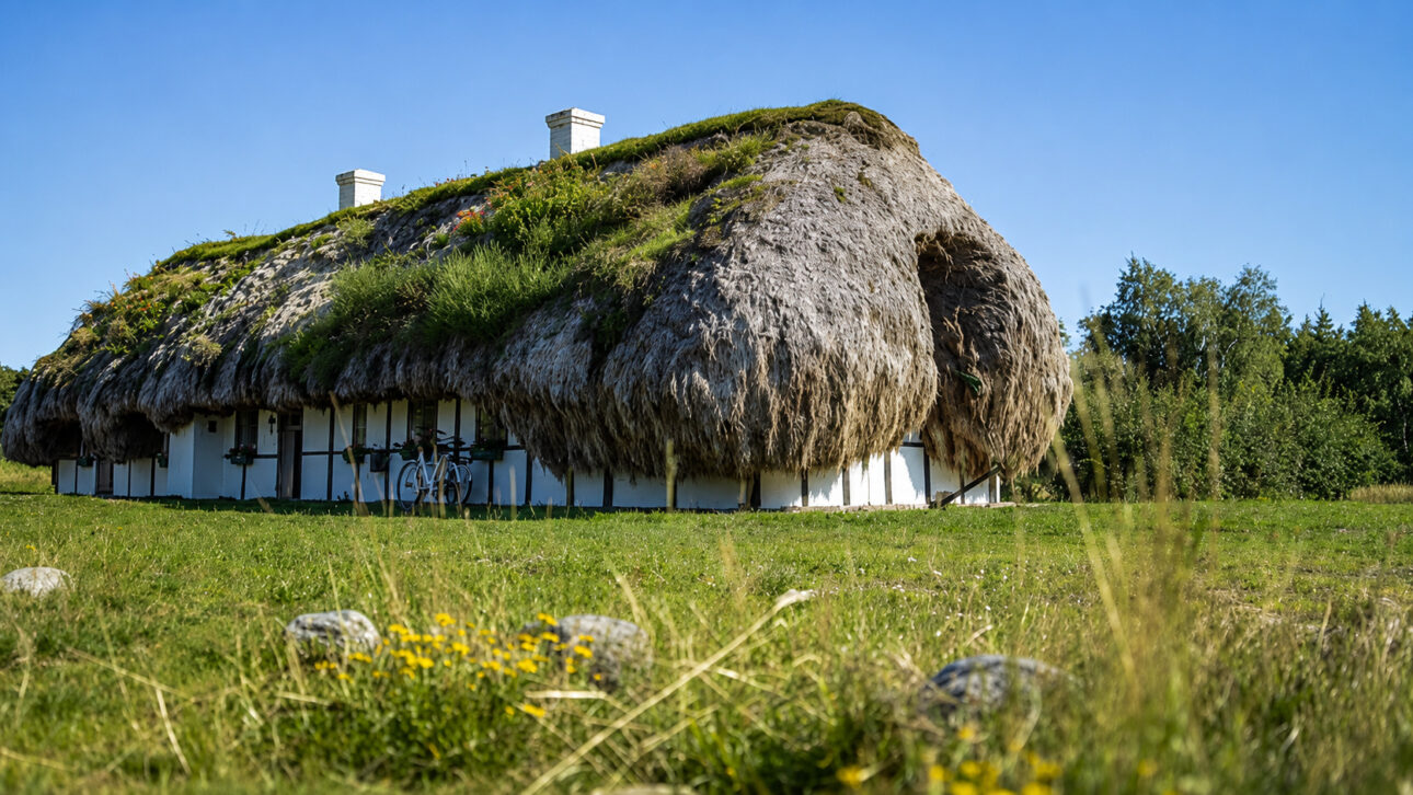 Casas históricas de Læsø con techos gruesos hechos de algas marinas