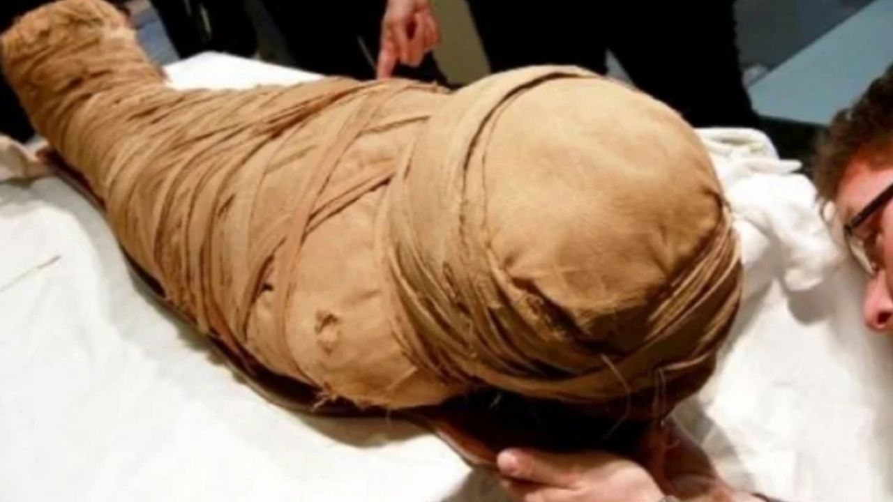 Ötzi's mummy reveals yeast used in artisanal bread, ancient microbiota, and doubt about fungi preserved in the ice.