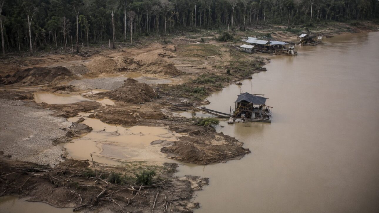 Dados preliminares da Fiocruz: 97% das gestantes Munduruku com mercúrio acima do limite e 9 em 10 bebês contaminados pelo garimpo de ouro na Amazônia.

