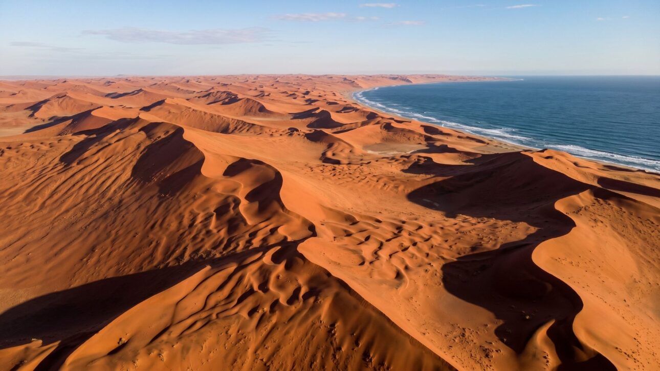 O Namib Sand Sea reúne dunas gigantes, neblina oceânica e milhões de hectares de paisagens que fazem dele um dos lugares mais extraordinários da Terra.