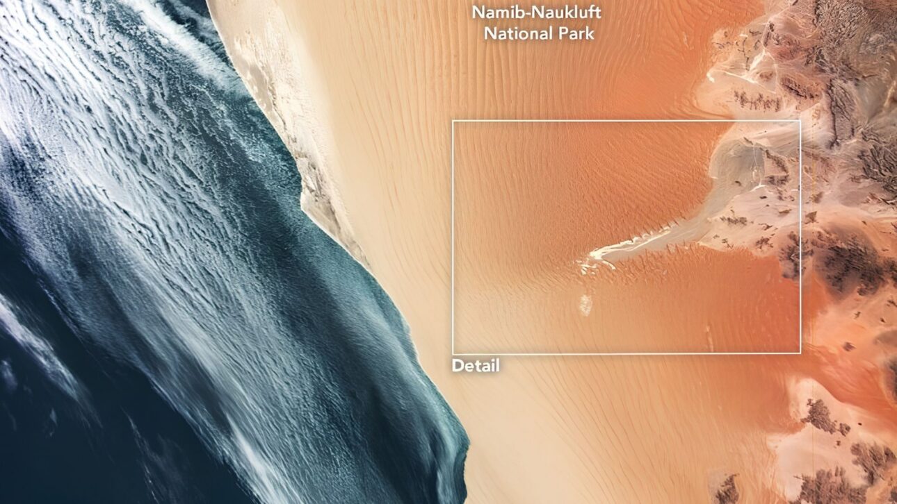 O Namib Sand Sea reúne dunas gigantes, neblina oceânica e milhões de hectares de paisagens que fazem dele um dos lugares mais extraordinários da Terra.
