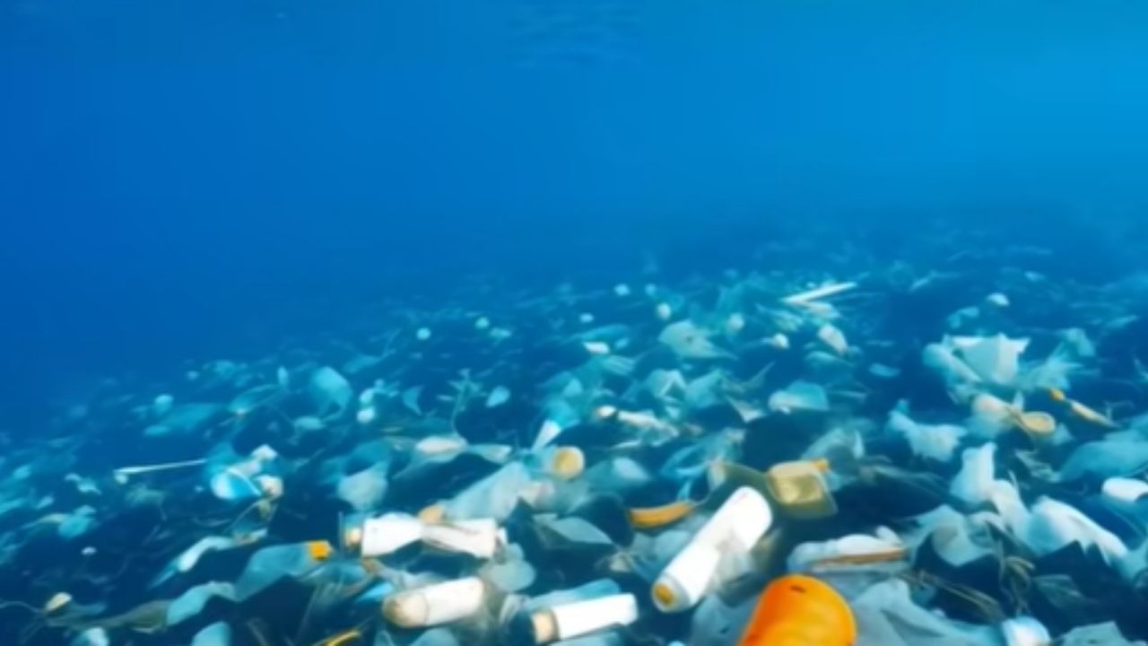 Ship uses sensors and artificial intelligence to collect plastic in the ocean without vacuuming fish.