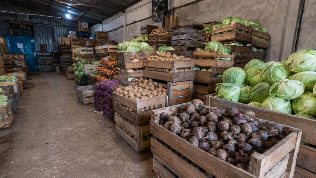 Offbeet Farm: no frio extremo do Alasca, um cientista conseguiu armazenar alimentos sem energia usando o calor dos legumes e reforçou a segurança alimentar.
