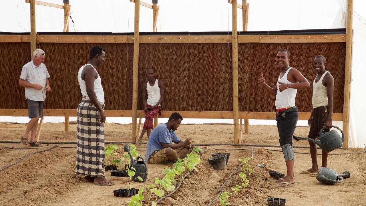 Água do mar abastece Seawater Greenhouse na Somalilândia com dessalinização e energia solar.
