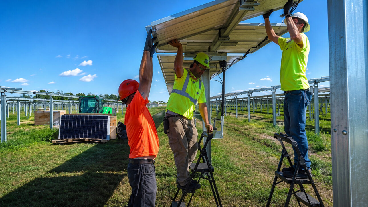 No estudo, a sombra dos painéis solares de 20% a 25% não acabou com a lavoura, mas reduziu a produção em média 7,7%.