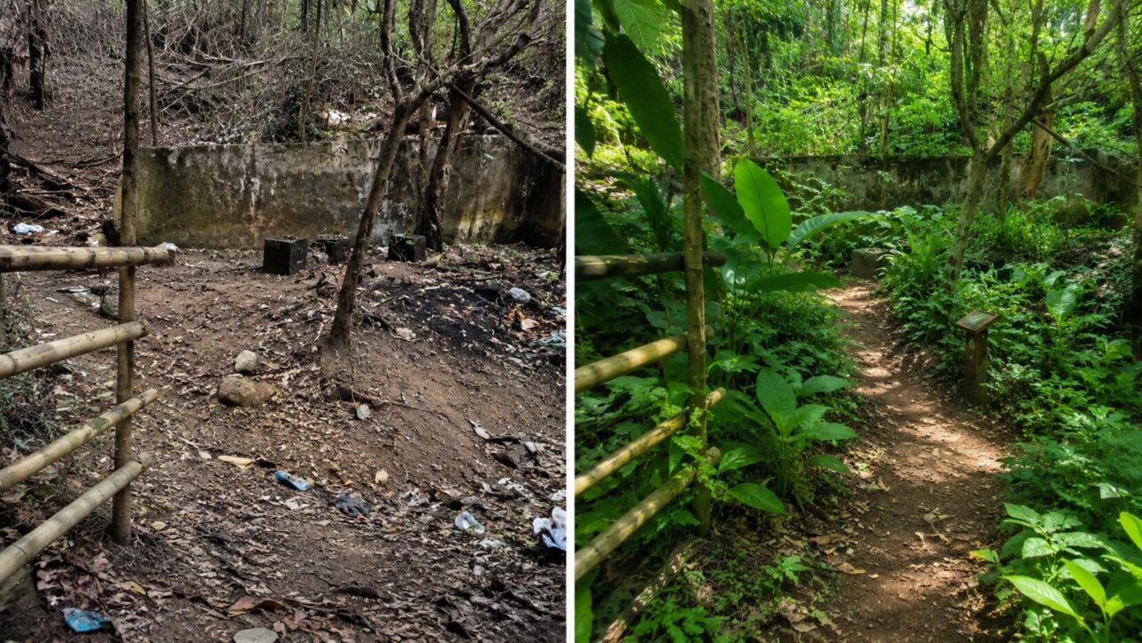 In São Gonçalo, Lurdes Brasil transformed a degraded area into an Atlantic Forest ecomuseum: with female leadership, it became a reference in environmental education.