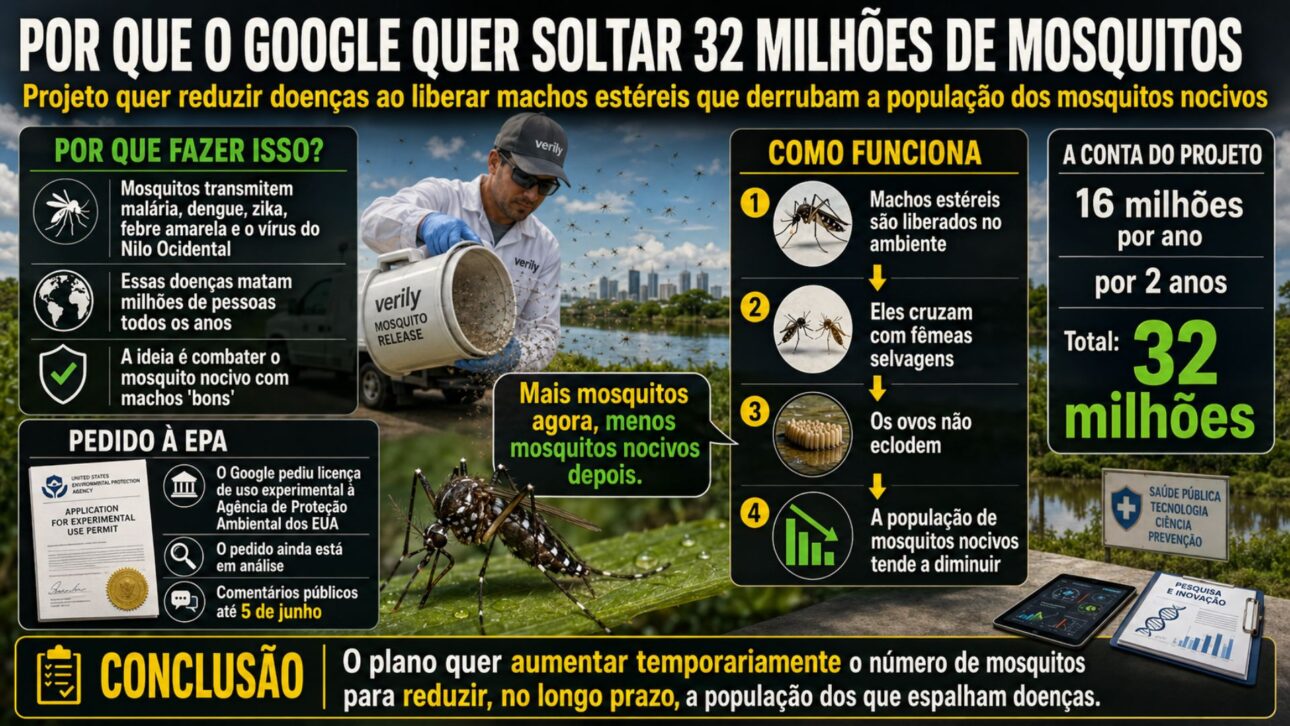 imagem ilustrativa/explicativa