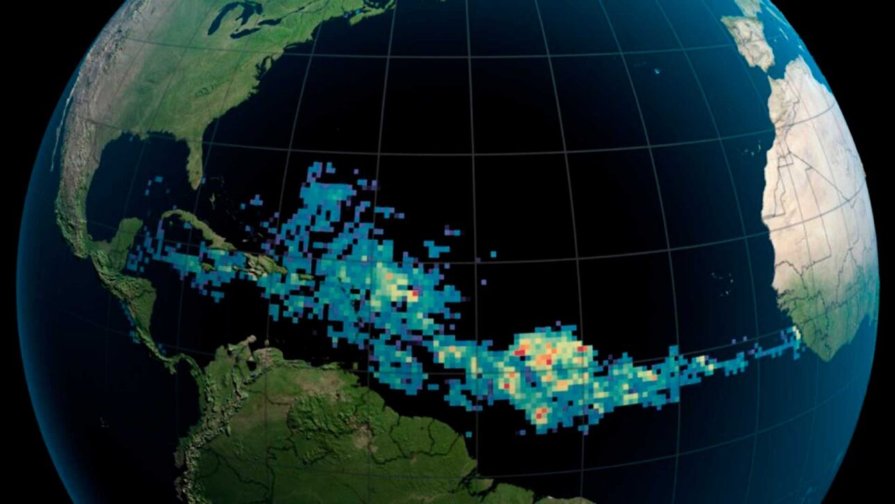 O-cinturão-marrom-cresceu-desde-2011-e-virou-um-sinal-visível-de-mudança-no-Atlântico