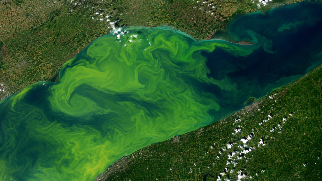 Lake Erie started turning green, and satellites showed a spot that doubled in size
