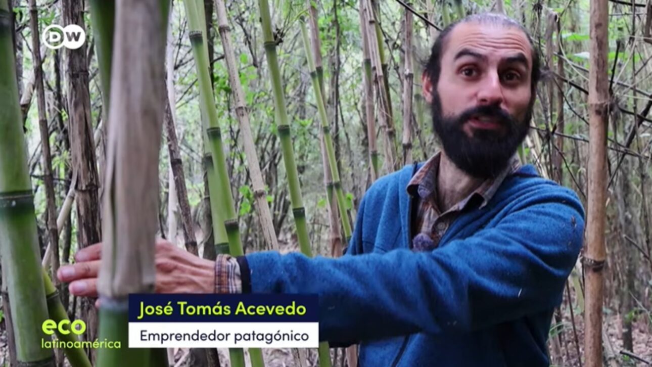 José Tomás