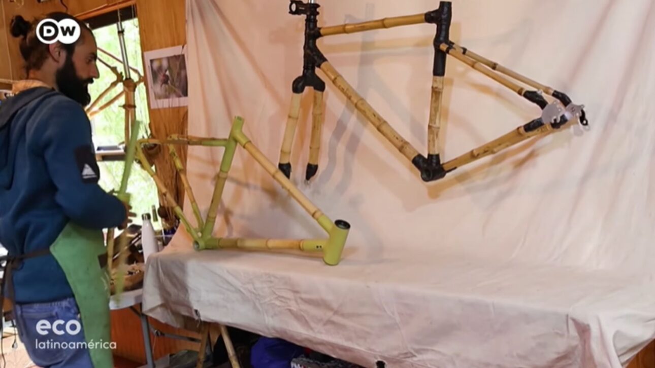 erva daninha virou bicicleta nas mãos de um chileno