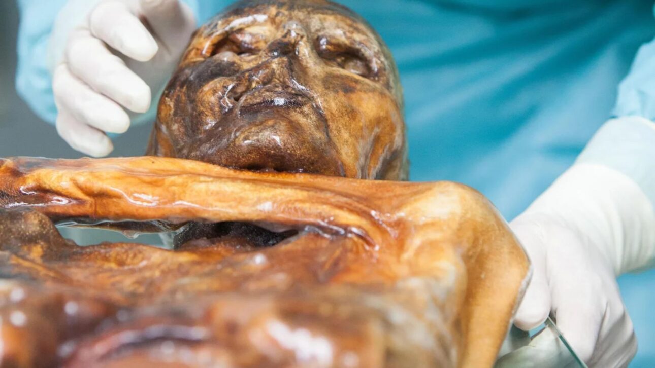 Ötzi, a múmia dos Alpes, guarda um microbioma ainda ativo: a levedura do Homem do Gelo aponta para uma fermentação que economiza energia.