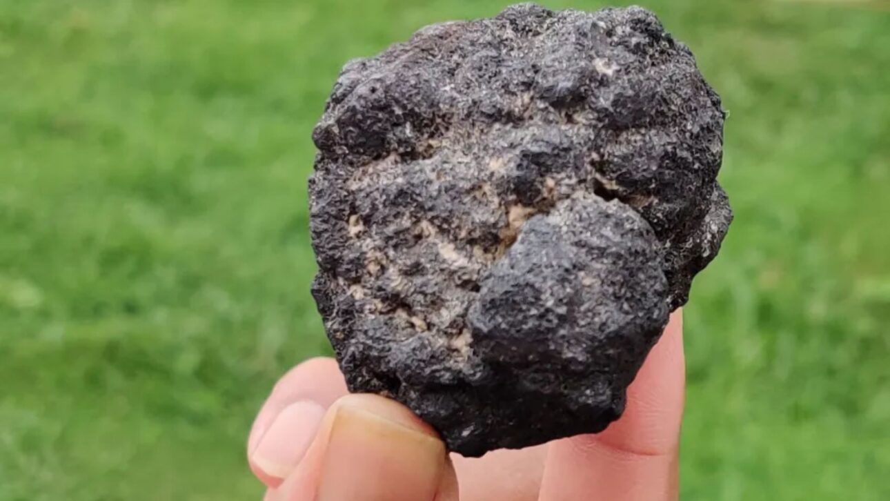 Oxigênio escuro de nódulos polimetálicos no fundo do mar desafia a origem da vida e acende debate sobre mineração na Zona Clarion Clipperton.