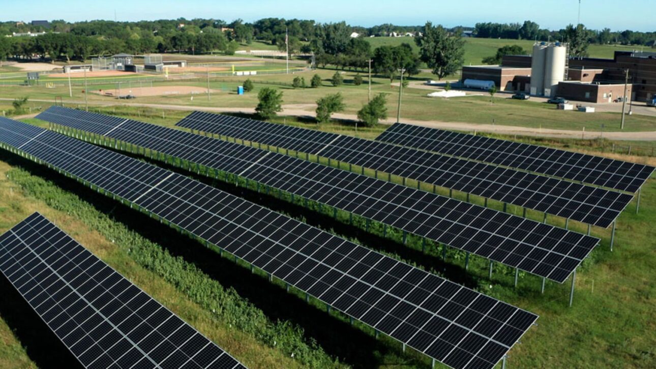 imagem: Universidade de Minnesota