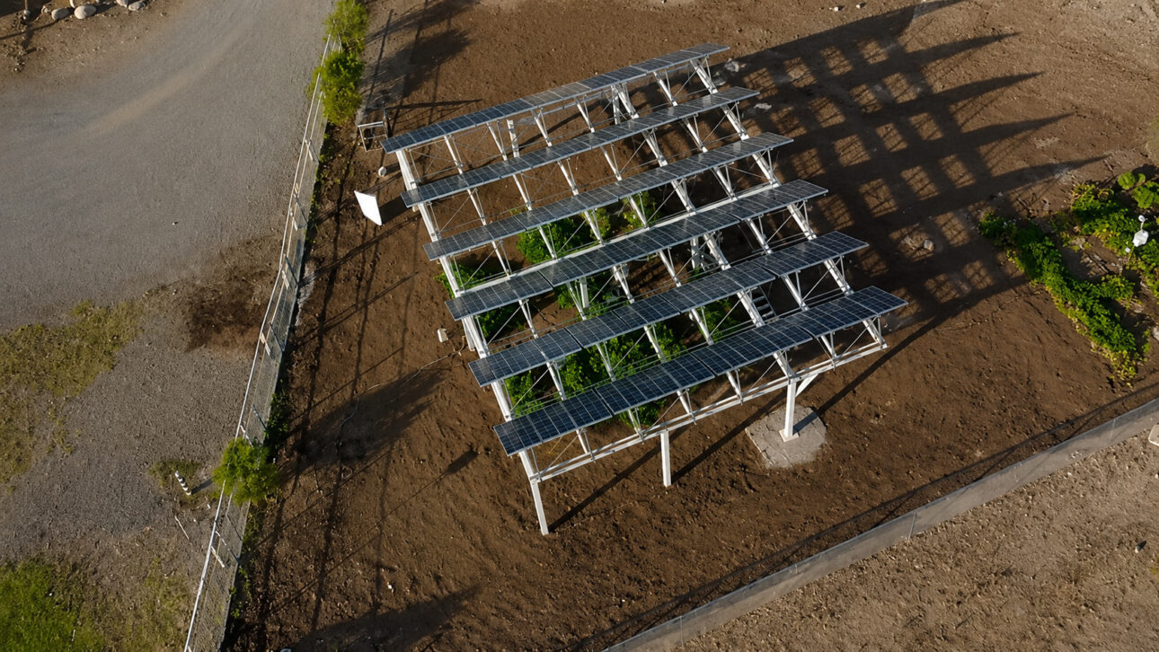 Painéis solares móveis sobre lavouras de milho reduziram a produção em média 7,7% quando a sombra ficou entre 20% a 25%.