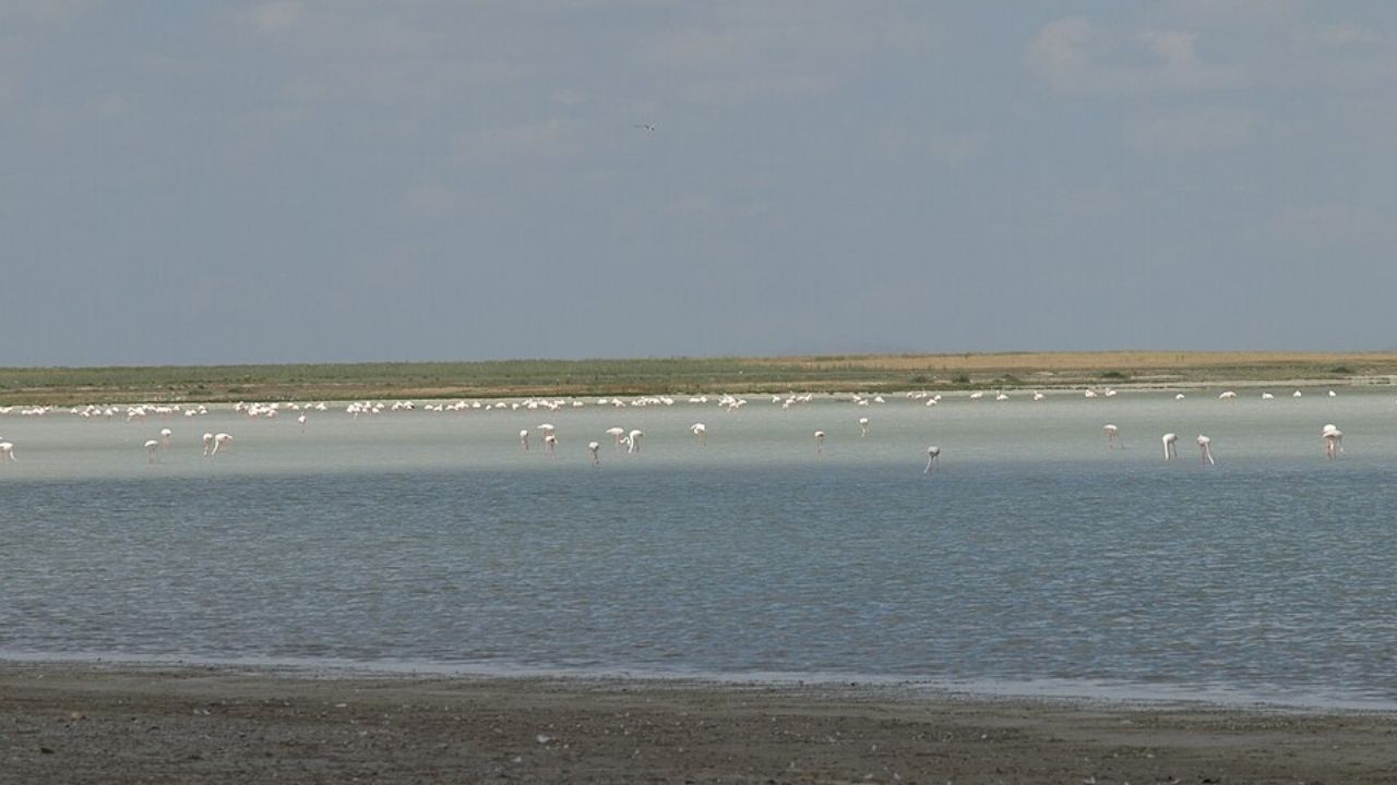Lagos da Turquia: Lago Marmara seca, desertificação e crise hídrica expõem colapso hídrico.