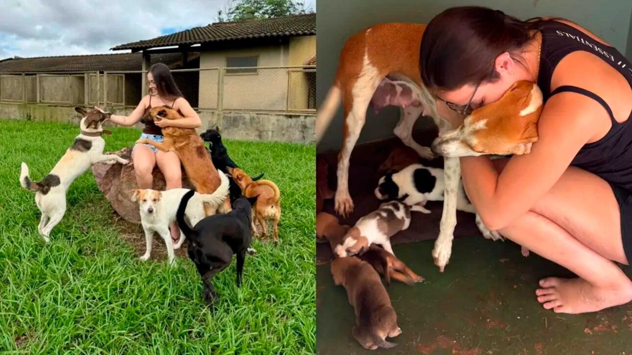 Personal trainer de Sinop cuida de 60 animais resgatados e busca doações para construir abrigo e pagar R$ 34 mil em dívidas