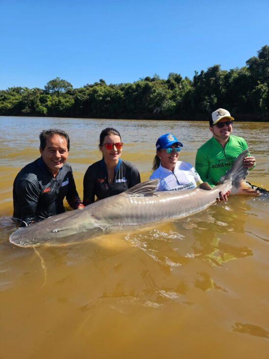 Grupo de pescadores segura un gran pez dentro de un río mientras participa de actividad de pesca deportiva en ambiente natural de la región Centro-Oeste.