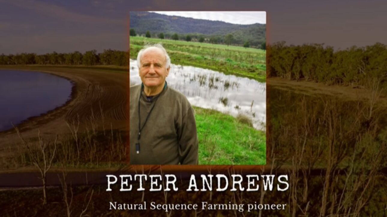 Peter Andrews