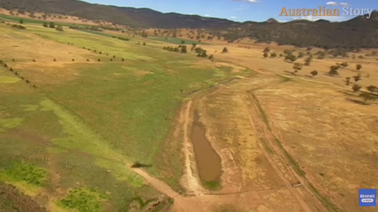 área verde recuperada por Peter Andews enquanto a área dos vizinhos continua degradadas