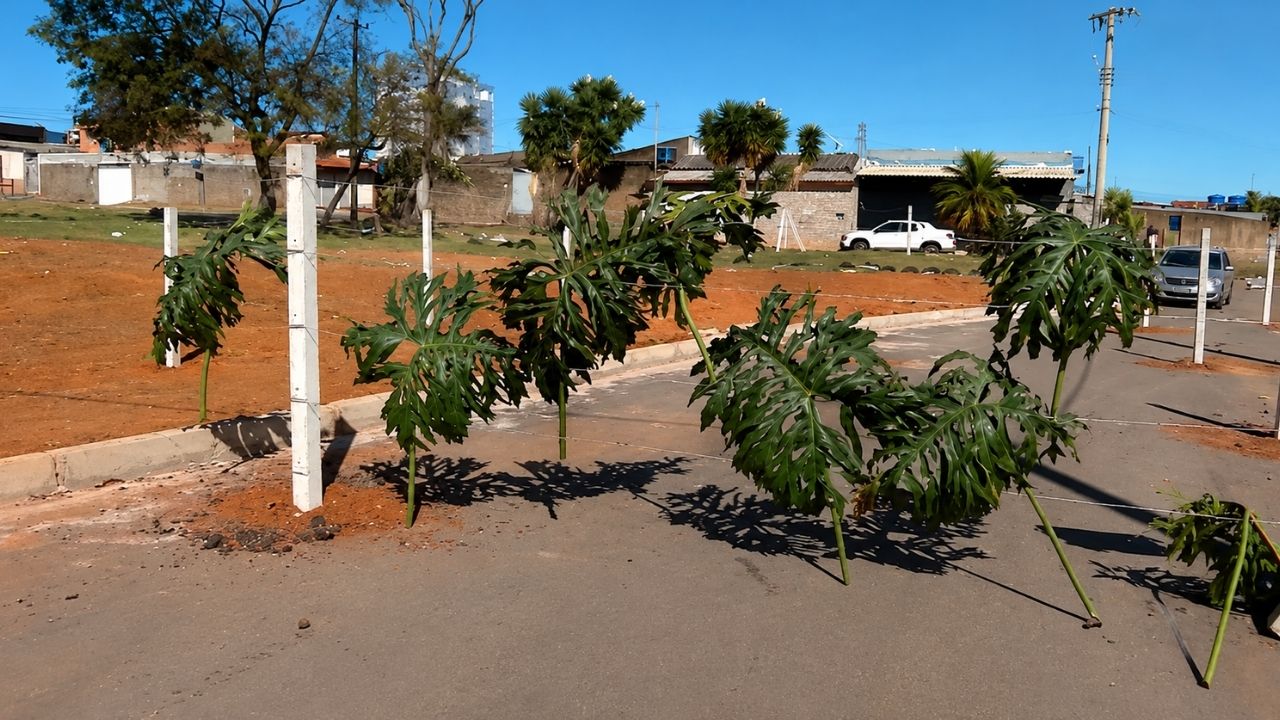 Pista no DF em Samambaia tem lotes particulares no traçado; Terracap e Novacap são cobradas após bloqueio por cercas.