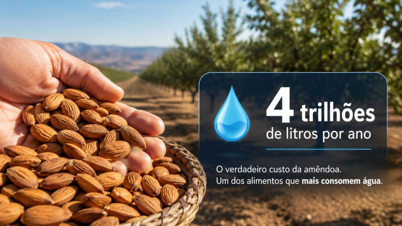Amêndoas da Califórnia: consumo de água de 4 trilhões de litros na seca na Califórnia, bilhões de abelhas de caminhão e água virtual na exportação.