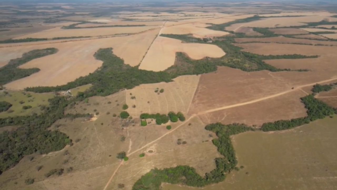 Milho e soja voltam à rotina de produtor rural em Paranatinga após integração lavoura-pecuária, segundo a Aprosoja MT.
