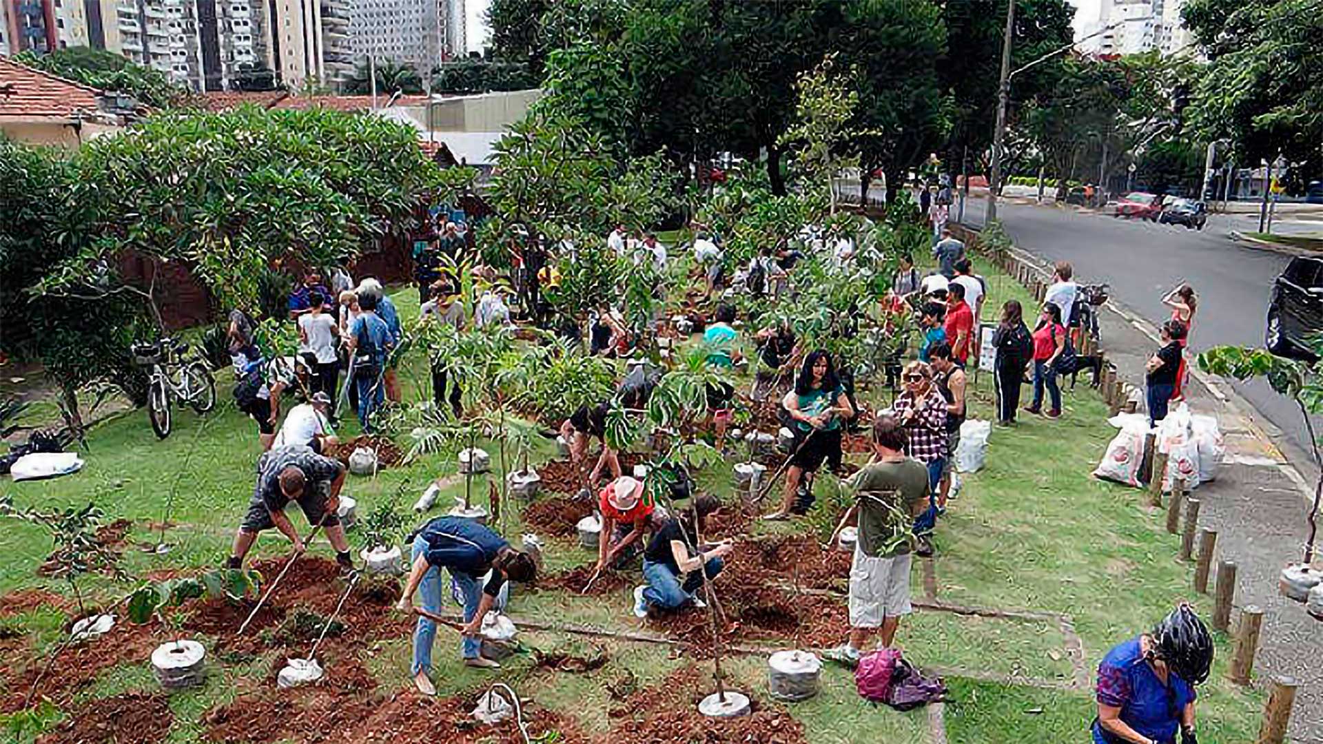 Projeto Floresta de Bolso realiza 18º plantio em São Paulo com mil mudas de mais de 100 espécies nativas da Mata Atlântica
