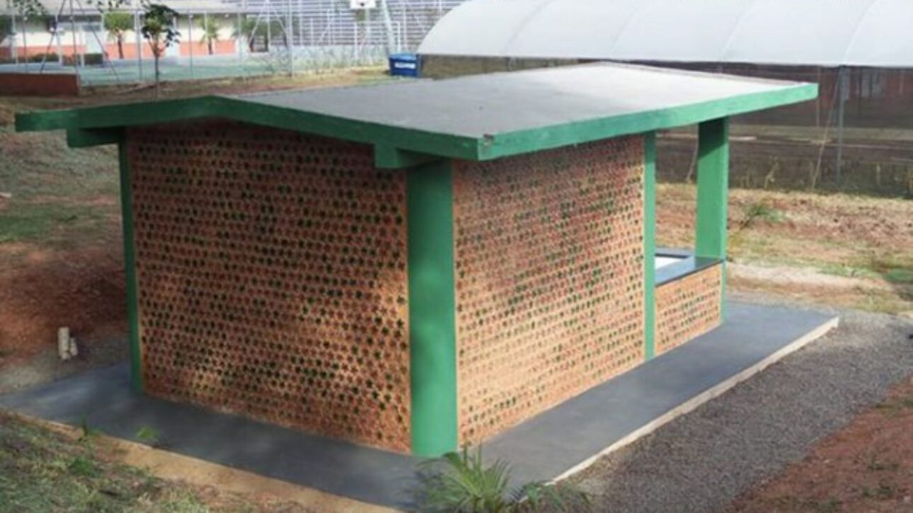 Estudantes brasileiros constroem casa de garrafa PET
imagem: Divulgação/3M