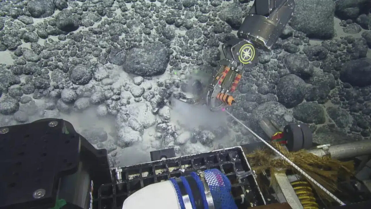 Robot found fossil tooth on the seabed in 2022